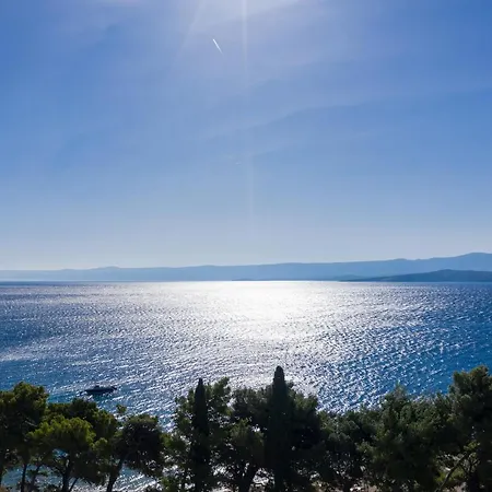 Pensionat Mediterranea 4*