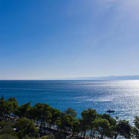 Mediterranea Guest house