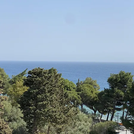 地中海别墅 4* 波尔