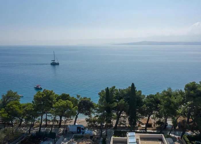 Mediterranea 4*